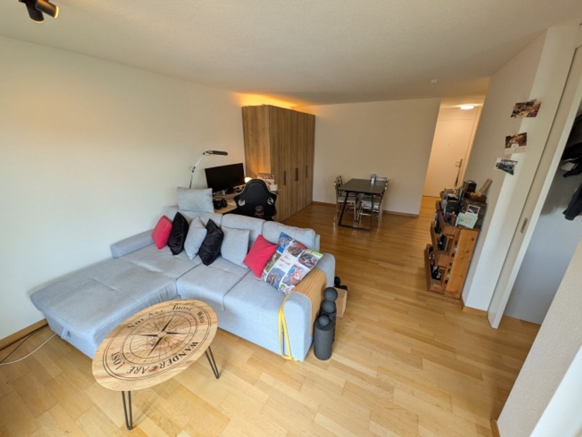 2 ZI-WOHNUNG IN LUZERN, MÖBLIERT, TEMPORÄR - 0