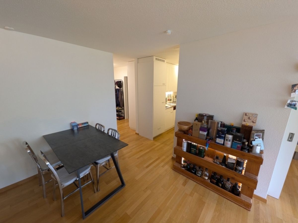 2 ZI-WOHNUNG IN LUZERN, MÖBLIERT, TEMPORÄR - 2