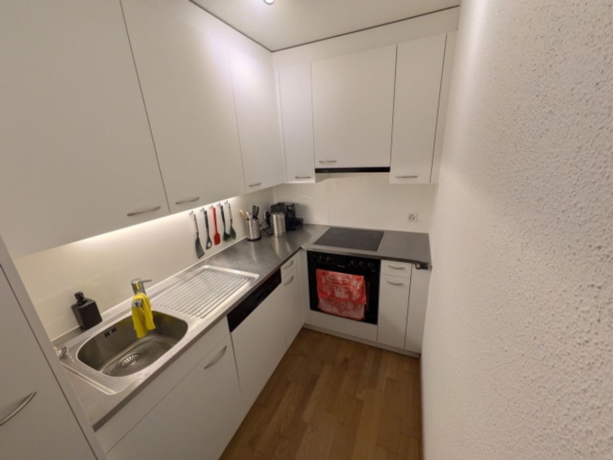 2 ZI-WOHNUNG IN LUZERN, MÖBLIERT, TEMPORÄR - 3
