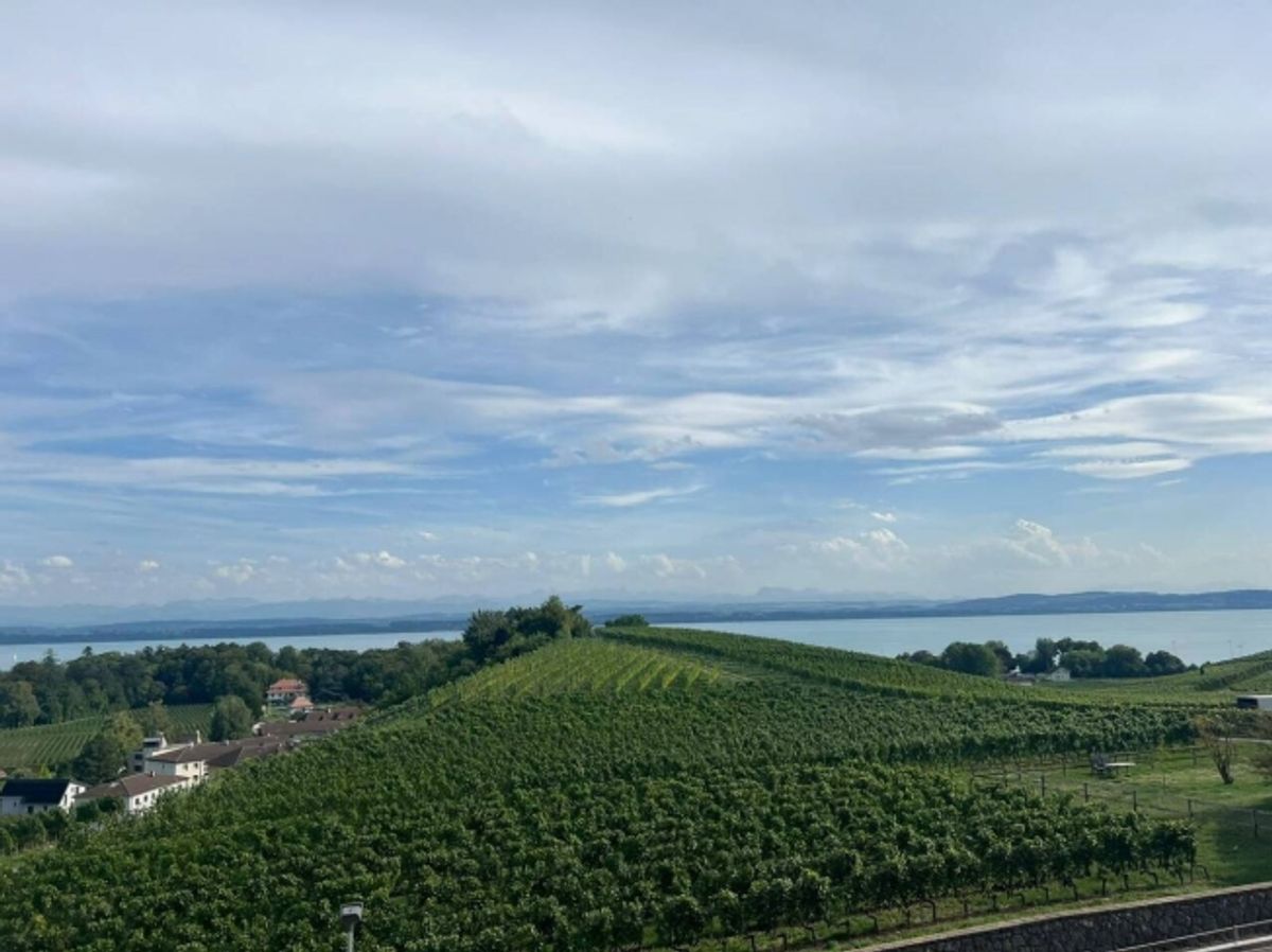 Les terrasses de Sachet, 5.5-Zimmer-Villen in Cortaillod - 1
