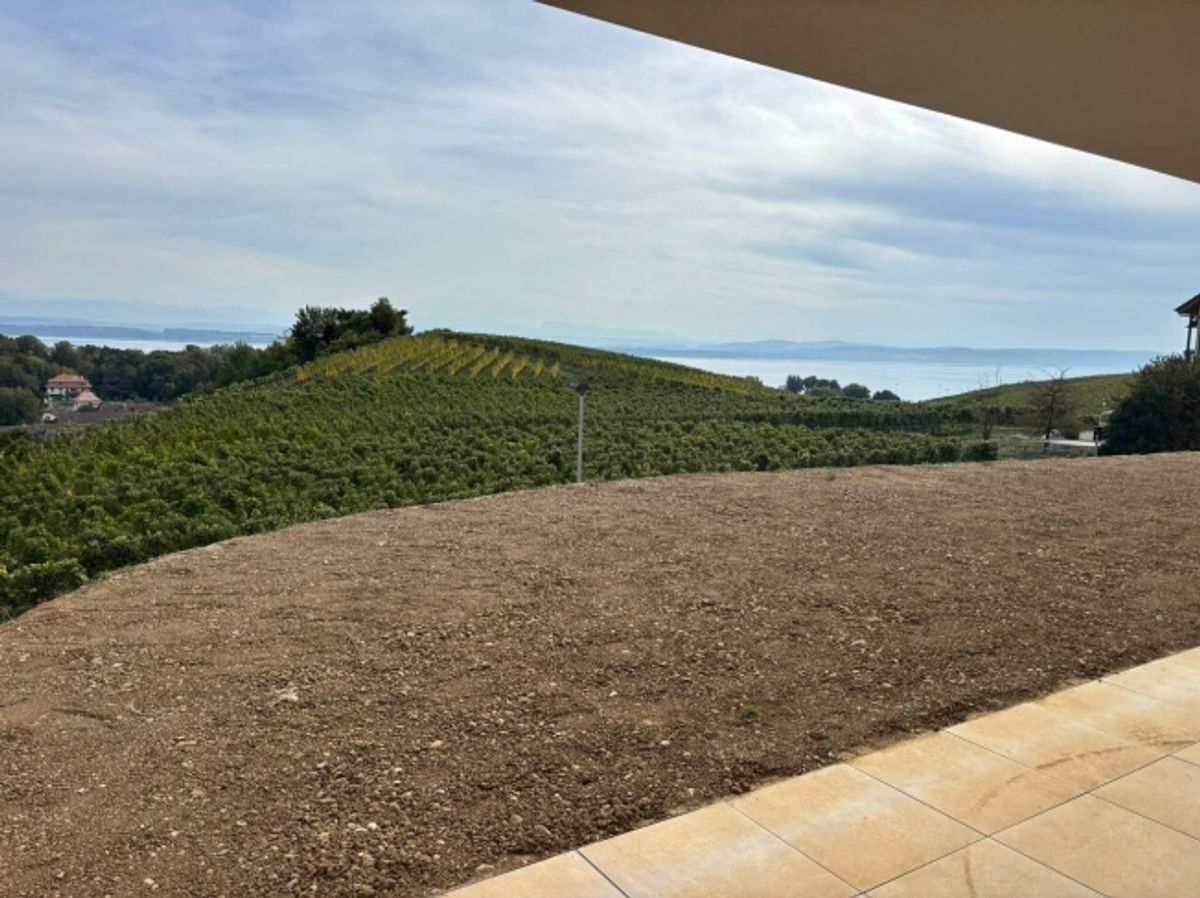 Les terrasses de Sachet, 5.5-Zimmer-Villen in Cortaillod - 4