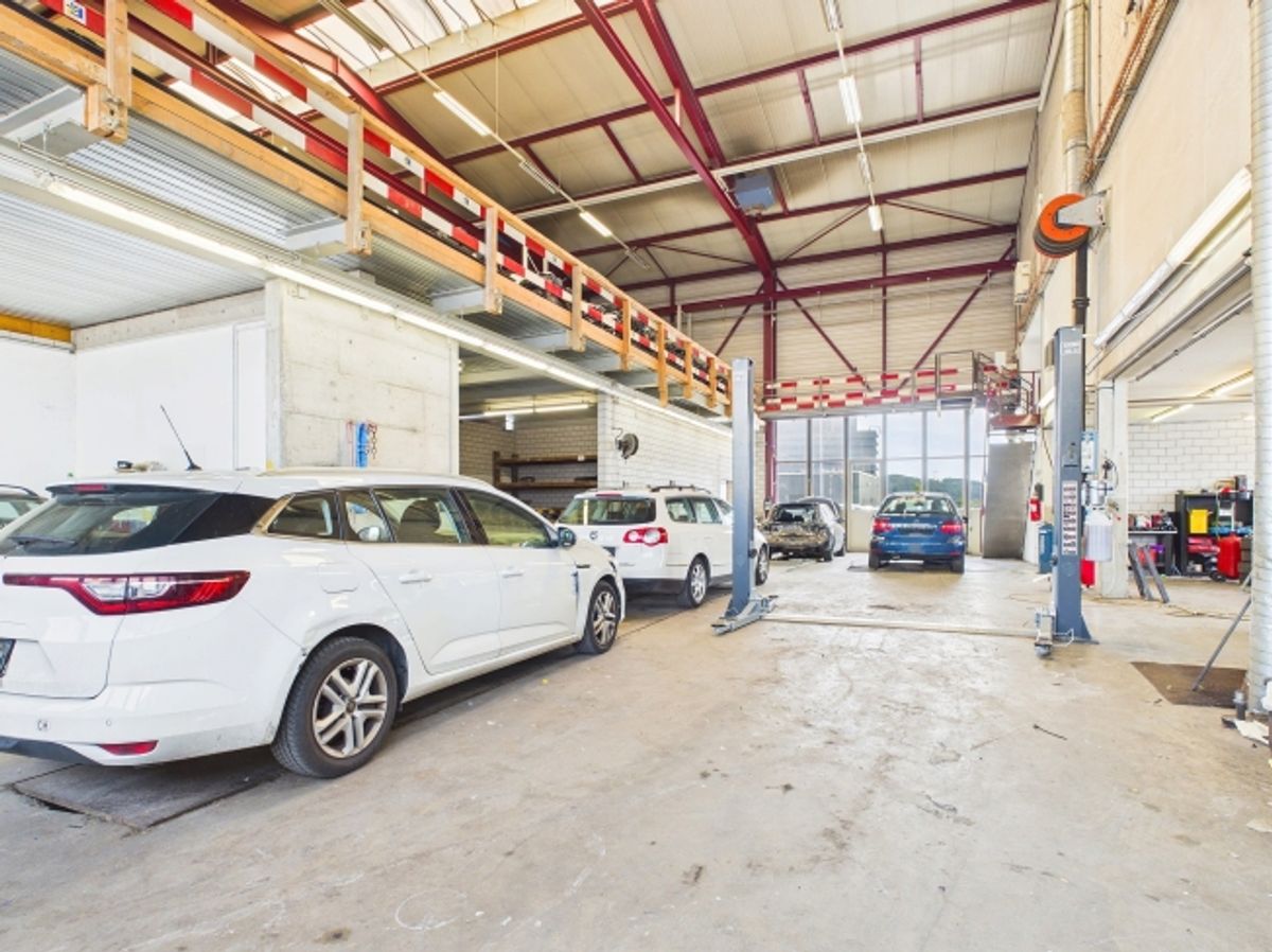 Halle mit 4 Räumen (ca. 350 m²) - ideal als Garage/Werkstatt in Rafz - 1