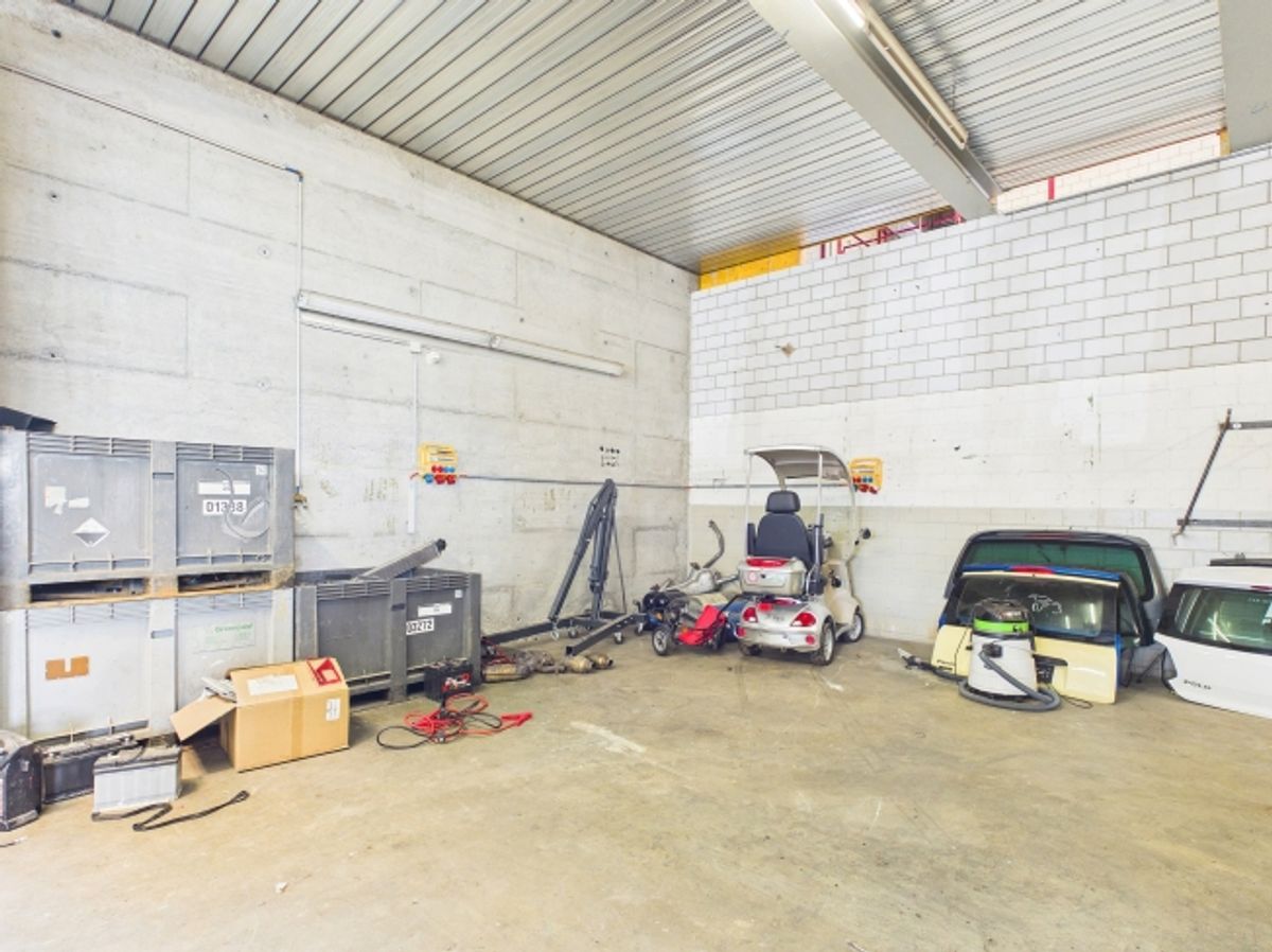 Halle mit 4 Räumen (ca. 350 m²) - ideal als Garage/Werkstatt in Rafz - 3