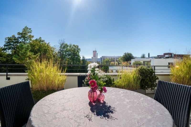 Urbane 4.5 Zimmer Attika-Wohnung mit 169 m² Terrassenfläche - 3