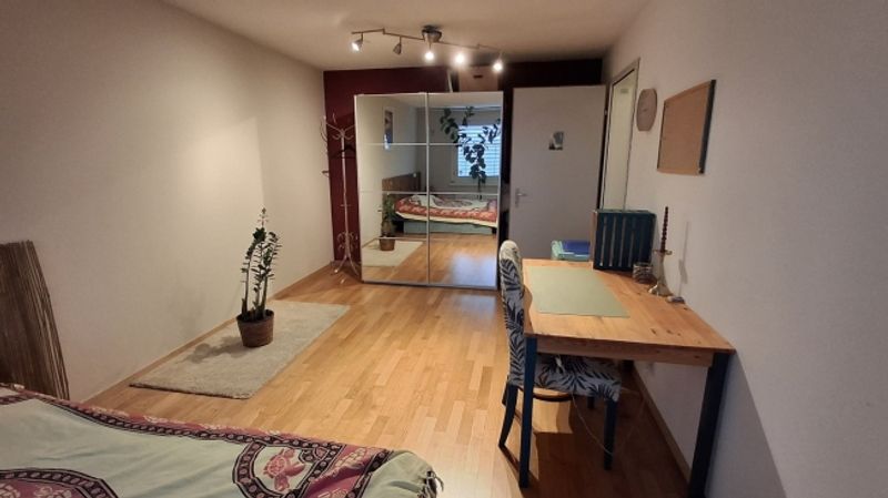 2 ZI-WOHNUNG IN LUZERN, MÖBLIERT, TEMPORÄR - 4