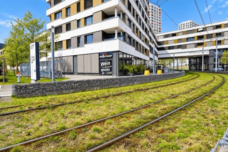 394 m² moderne Verkaufsfläche an hochfrequentierter Lage in Spreitenbach - 1