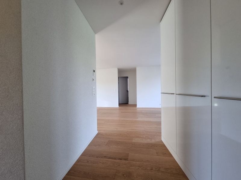 Steuervorteil trifft Wohnqualität  attraktive 4.5 Zimmer in Meggen - 6