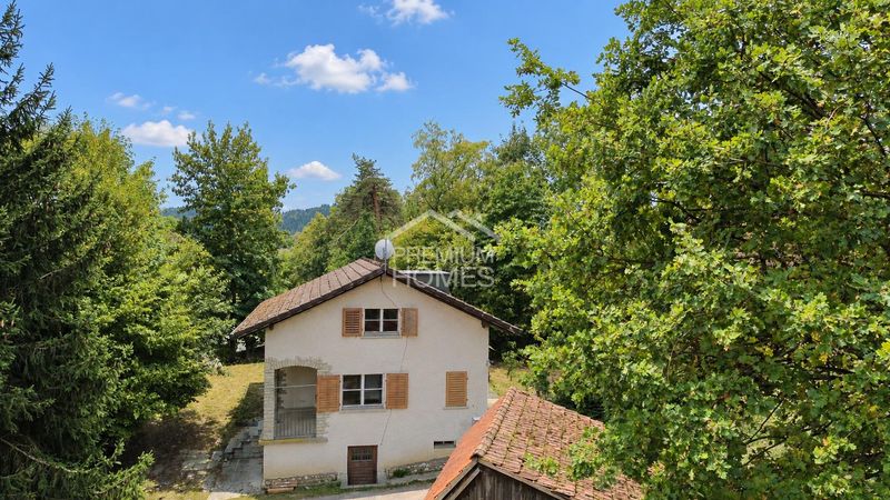 VON VINTAGE IN DIE MODERNE - 3