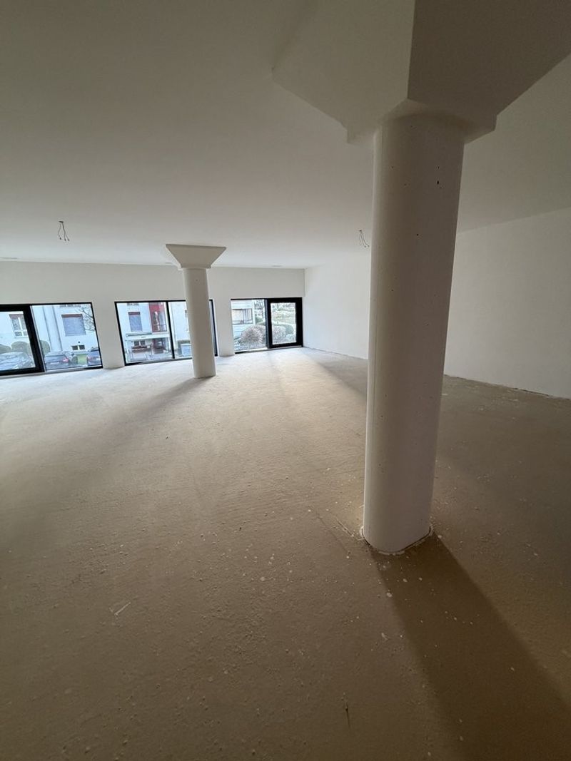 Attraktive Büro-/Gewerbefläche im Neubau, Erstbezug in Luzern/Littau - 3
