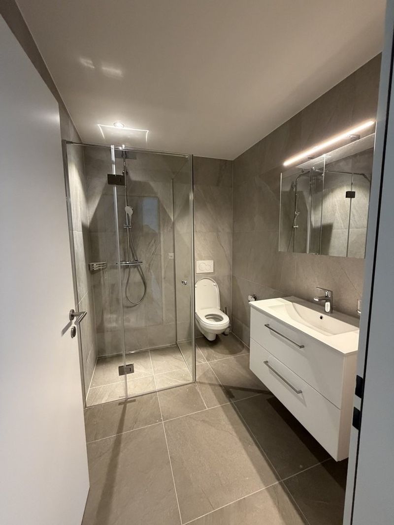Attraktive Büro-/Gewerbefläche im Neubau, Erstbezug in Luzern/Littau - 5