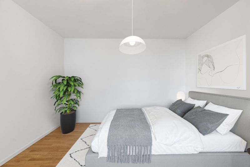 Bel appartement minergie avec garantie de loyer offerte - 4