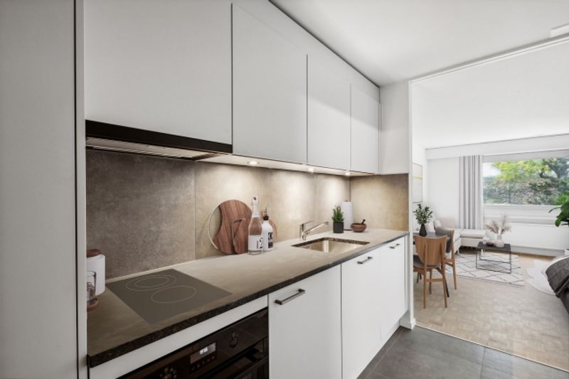 Magnifique appartement 1 pièce rénové CAUTION GRATUITE - 1