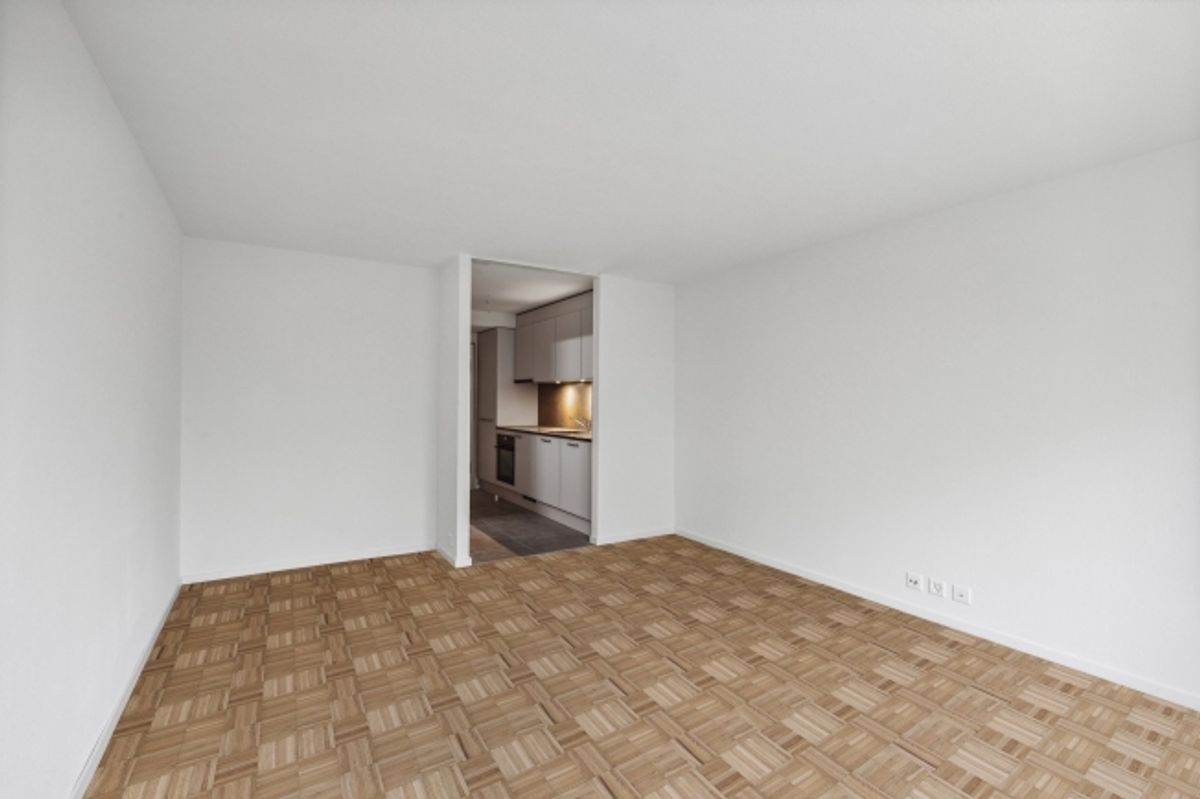 Magnifique appartement 1 pièce rénové CAUTION GRATUITE - 2
