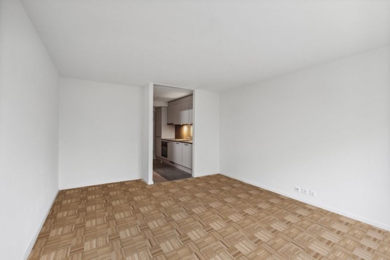 Magnifique appartement 1 pièce rénové CAUTION GRATUITE - 3