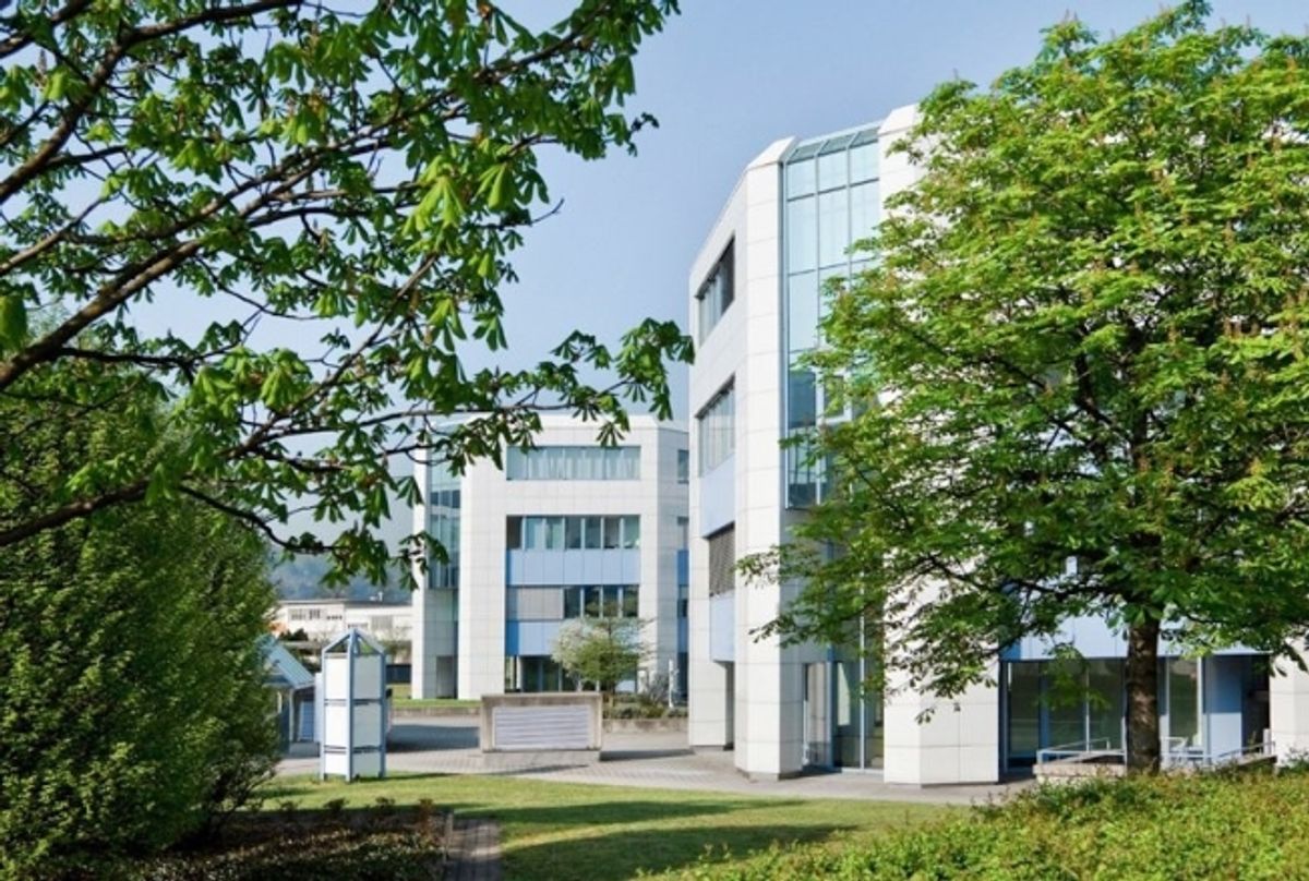51 m2 Lager - oder Archivfläche in Wallisellen - jetzt besichtigen! - 0