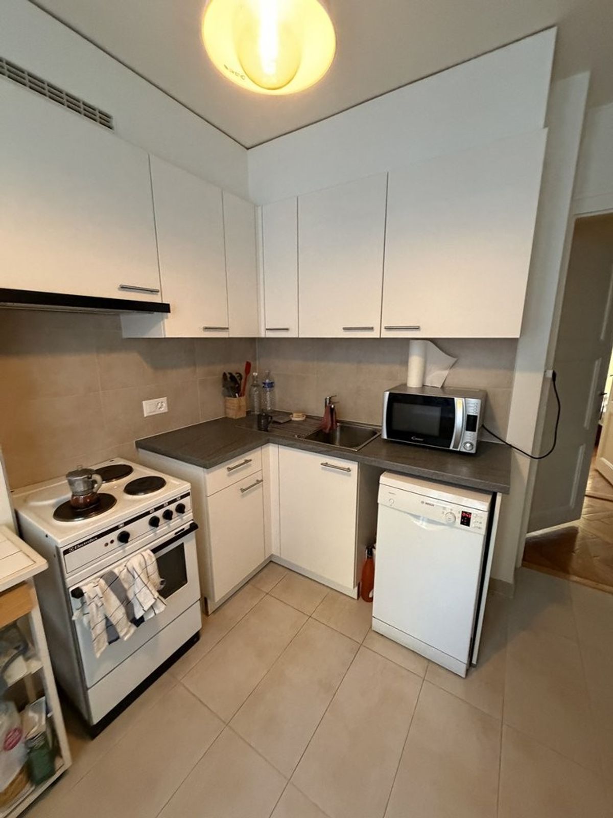 A saisir ! Magnifique appartement à Carouge ! - 2