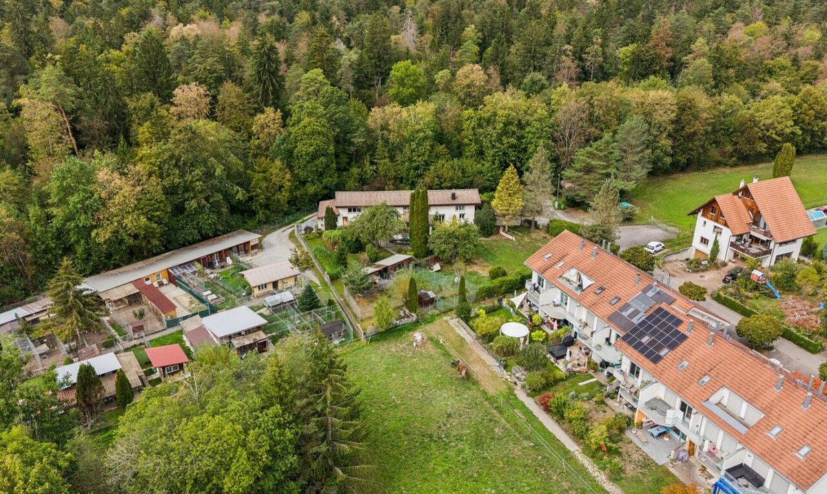 Freistehendes Einfamilienhaus mit viel Land und Potenzial - 2
