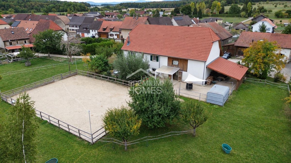 Wo sich Ihre Pferde genauso zuhause fühlen wie Sie - 0