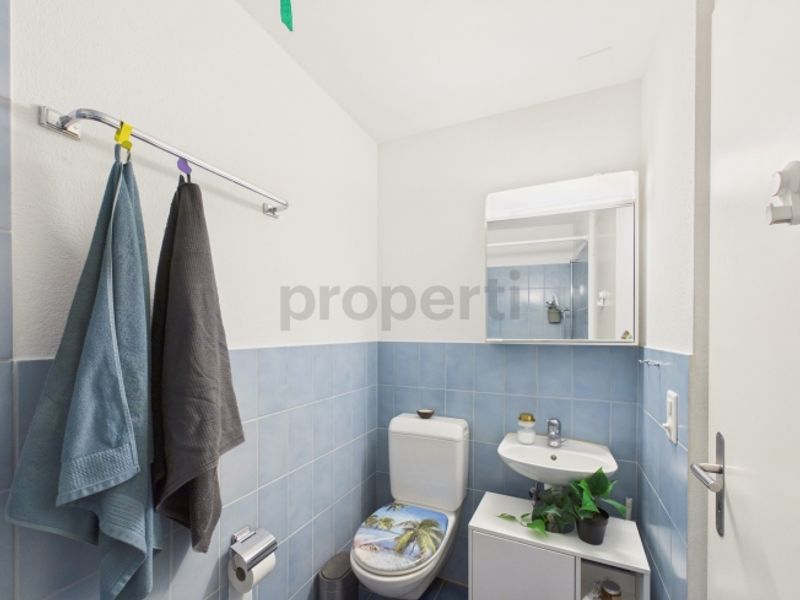 Geräumige 3.5-Zimmer-Maisonette mit attraktivem Grundriss, Winterthur - 9