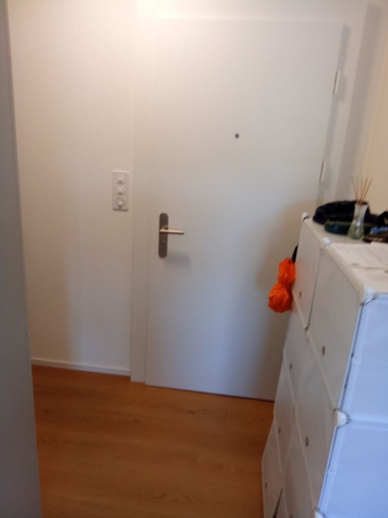 1½ ZI-WOHNUNG IN LUZERN, MÖBLIERT, TEMPORÄR - 2