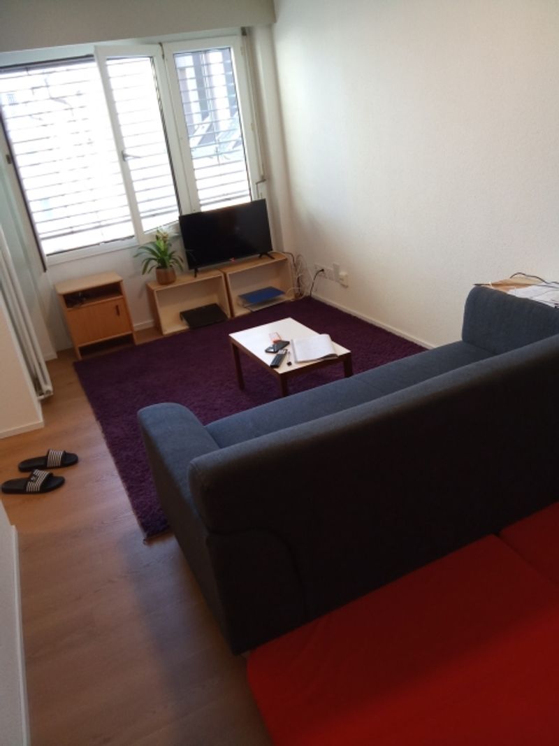 1½ ZI-WOHNUNG IN LUZERN, MÖBLIERT, TEMPORÄR - 4