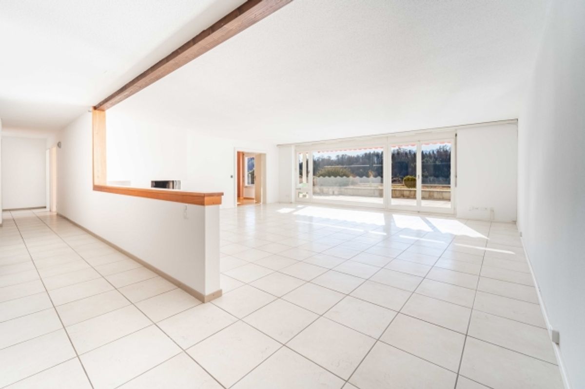 Grosszügige Wohnung mit sonniger Terrasse - 1