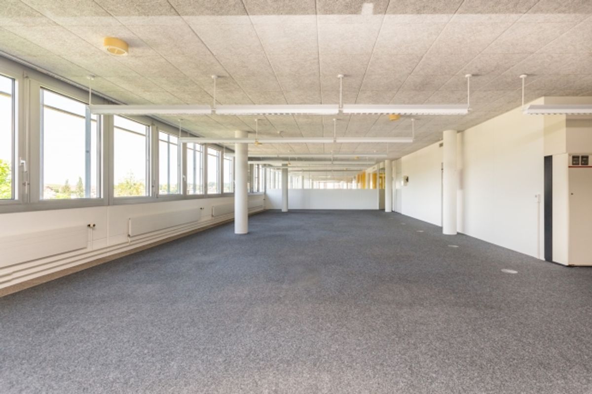 Office - 6