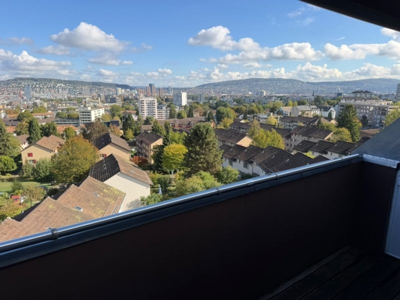 Traumhafte Dachwohnung mit atemberaubender Aussicht über Zürich - 8