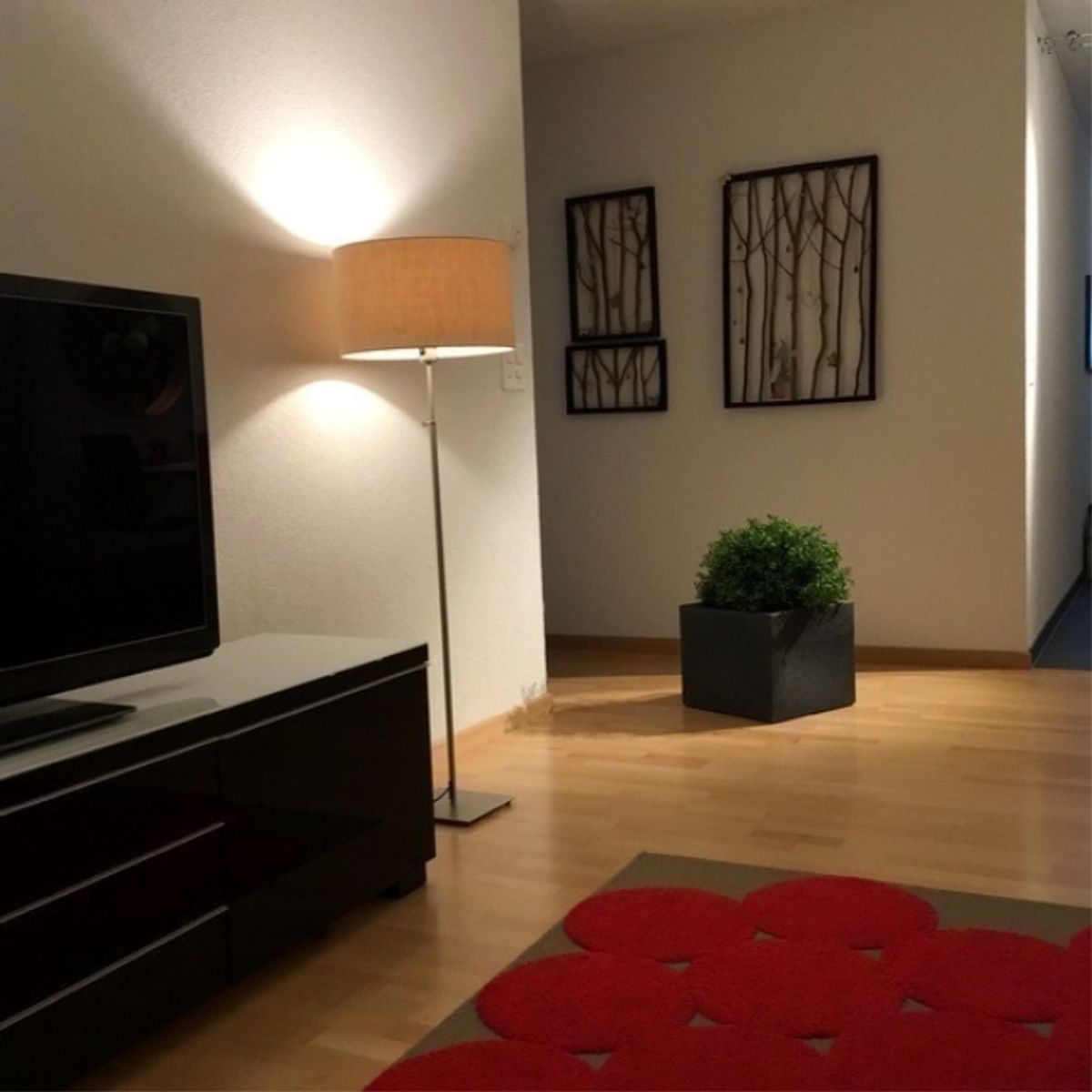 3½ ZI-WOHNUNG IN ST. GALLEN - ST. FIDEN/NEUDORF, MÖBLIERT, TEMPORÄR - 2