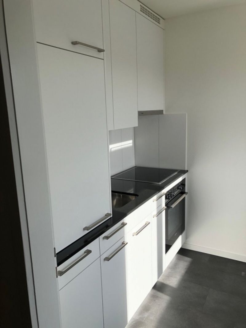 SINGEL  Wir bieten eine 1,5 Zimmerwohnung nach Totalsanierung an - 5