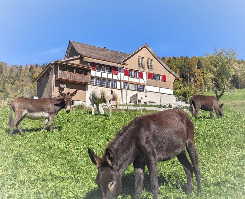4.5 Zimmer Doppeleinfamilienhaus - 1