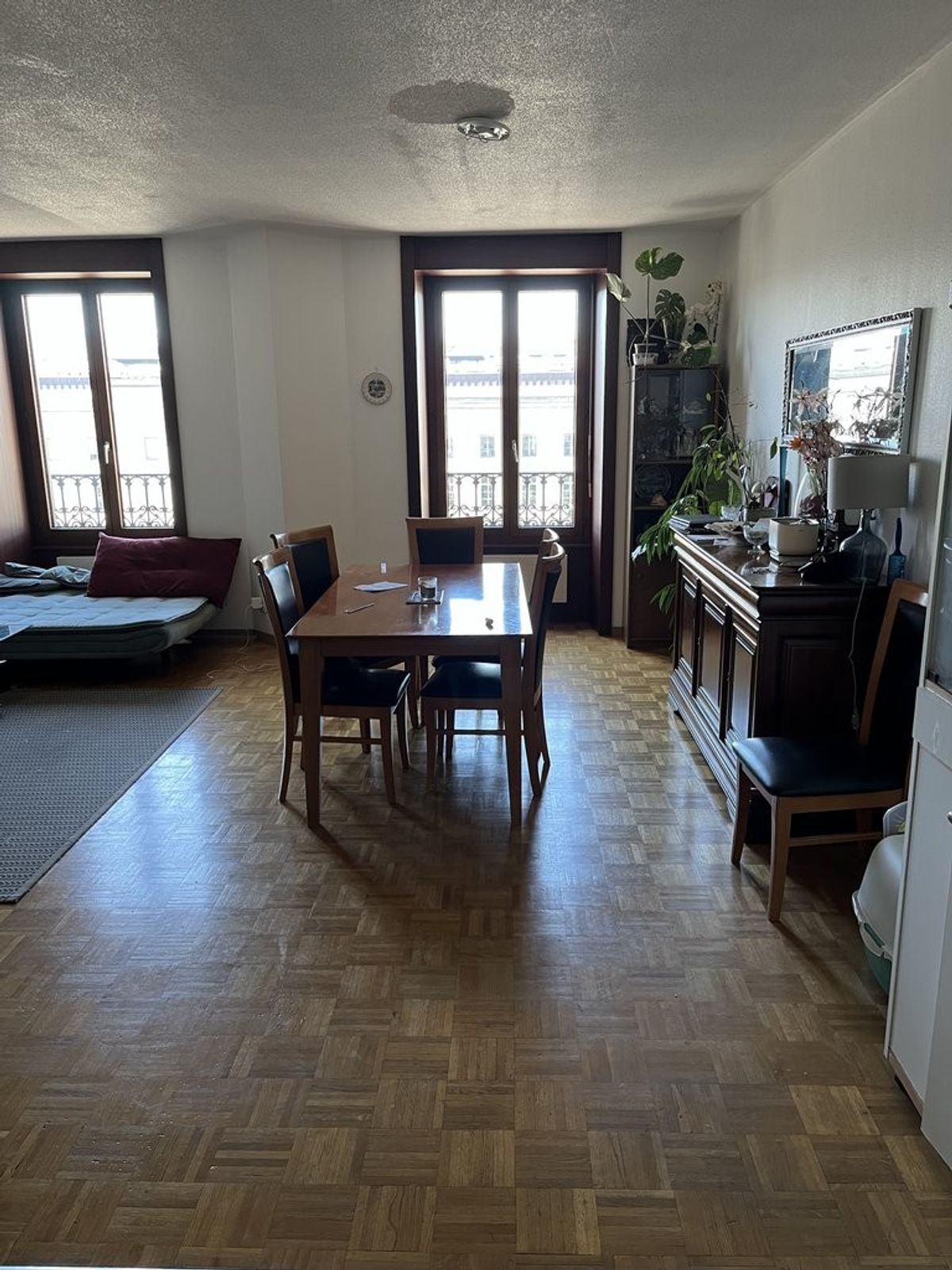 Spacieux appartement en face de la gare de Cornavin - 2