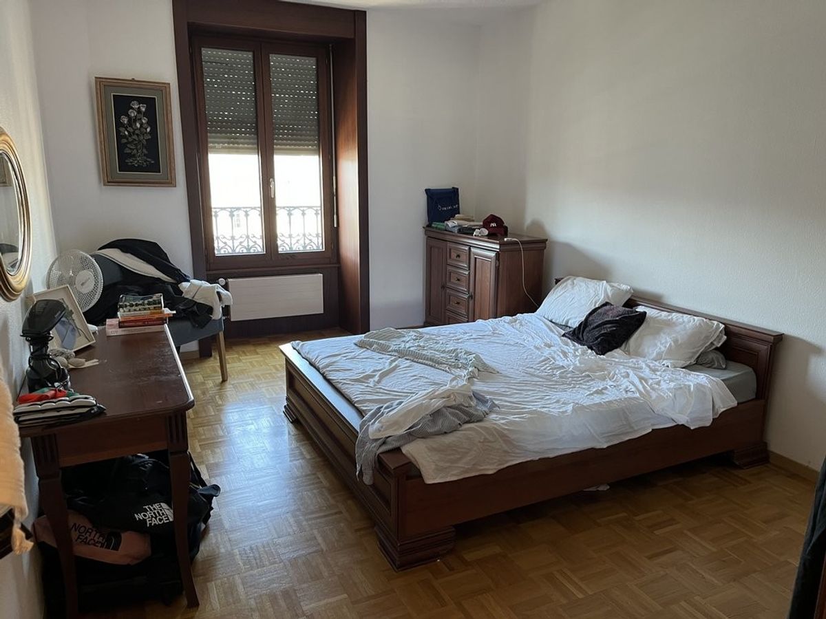 Spacieux appartement en face de la gare de Cornavin - 3