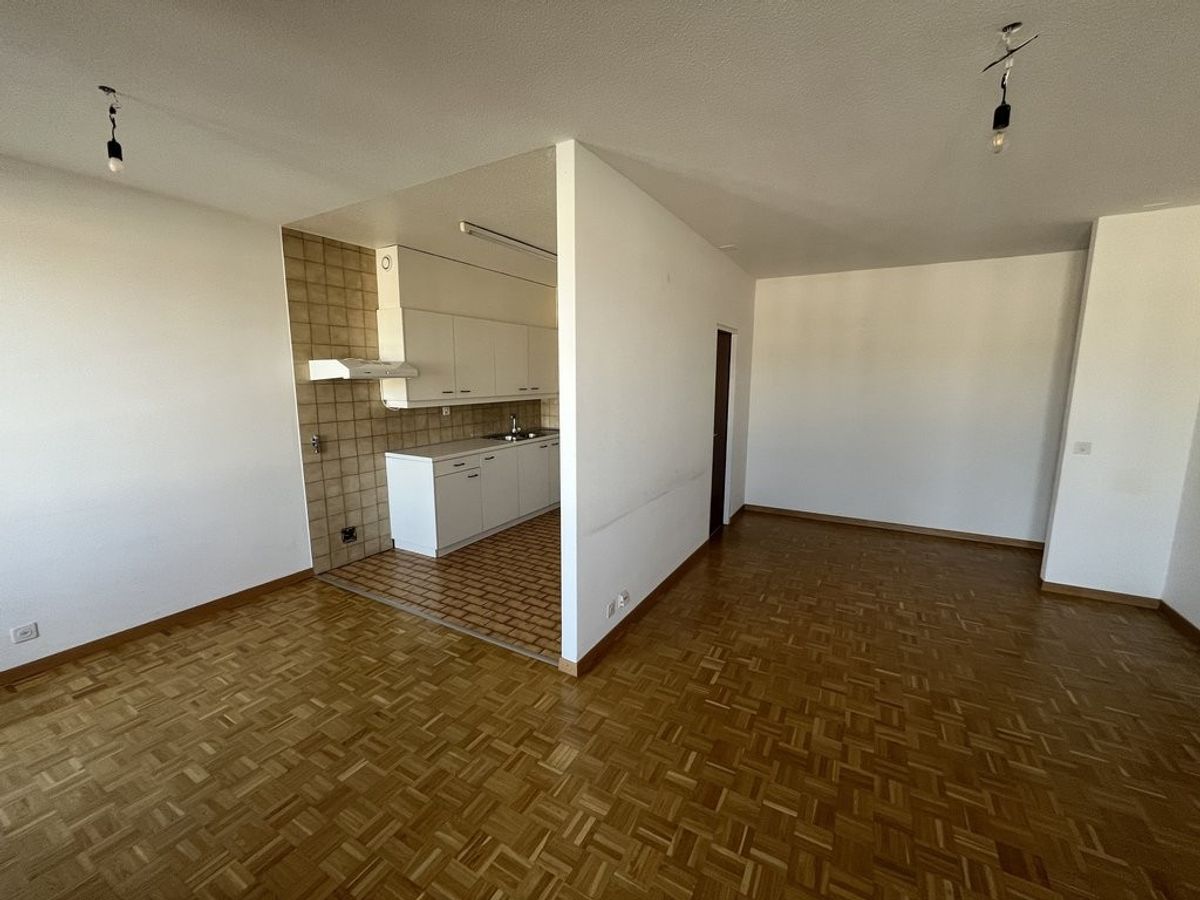 Votre appartement en face de la gare Cornavin - 2