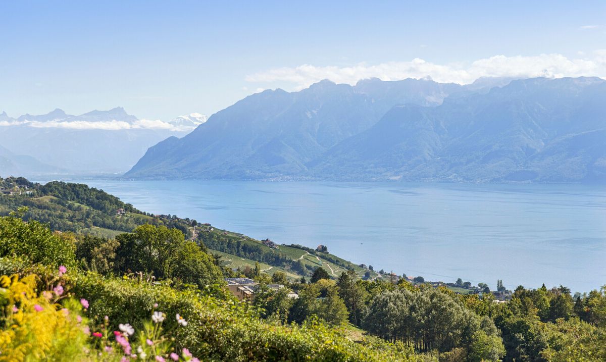 Maison individuelle in à Belmont-sur-Lausanne - 0
