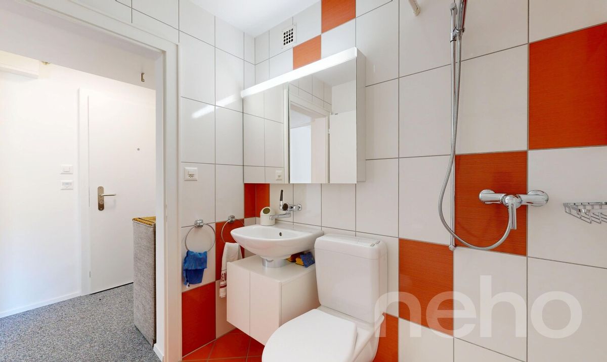 Ihr Rückzugsort in den Bergen - renoviert und bezugsbereit - 8