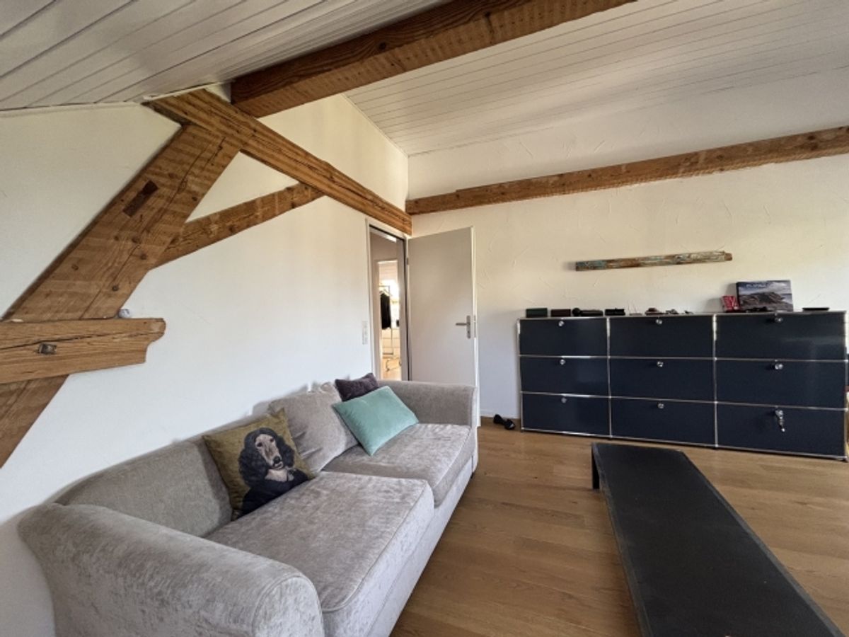 5 ZIMMER-DACHWOHNUNG IN FÜLLINSDORF (BL), MÖBLIERT, TEMPORÄR - 1