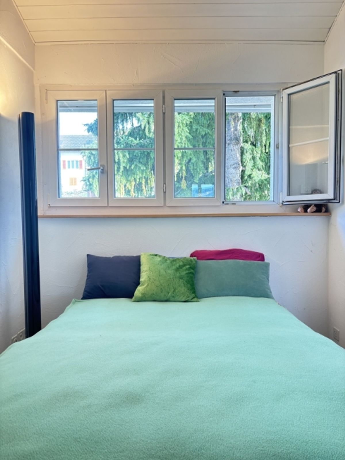 5 ZIMMER-DACHWOHNUNG IN FÜLLINSDORF (BL), MÖBLIERT, TEMPORÄR - 5
