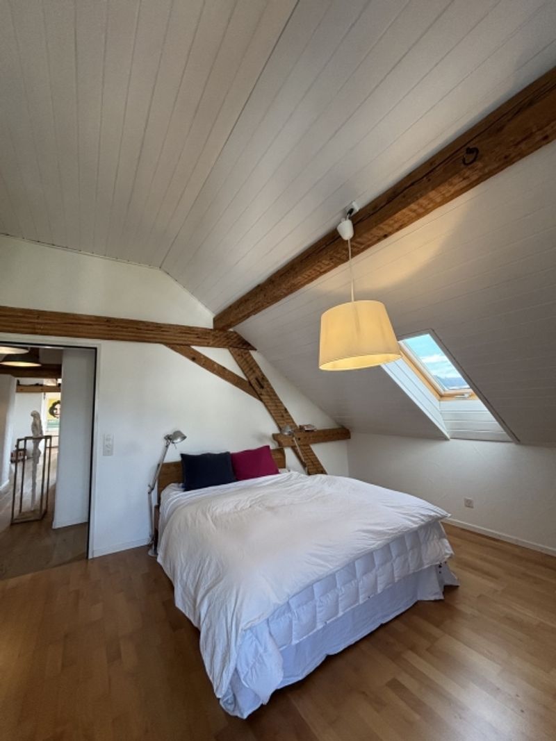 5 ZIMMER-DACHWOHNUNG IN FÜLLINSDORF (BL), MÖBLIERT, TEMPORÄR - 7