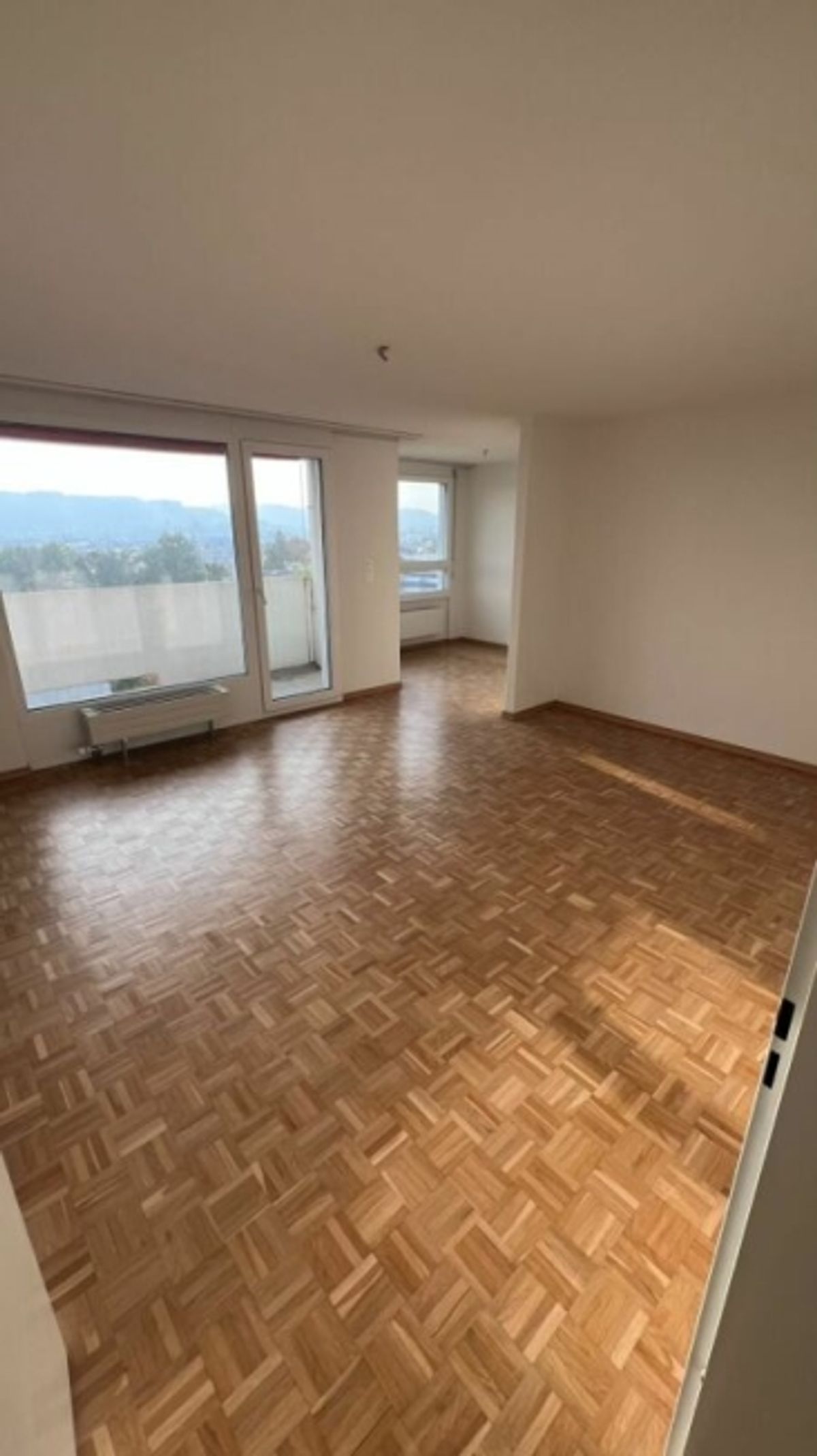 schöne helle 2 1/2 Zimmer Wohnung - 0