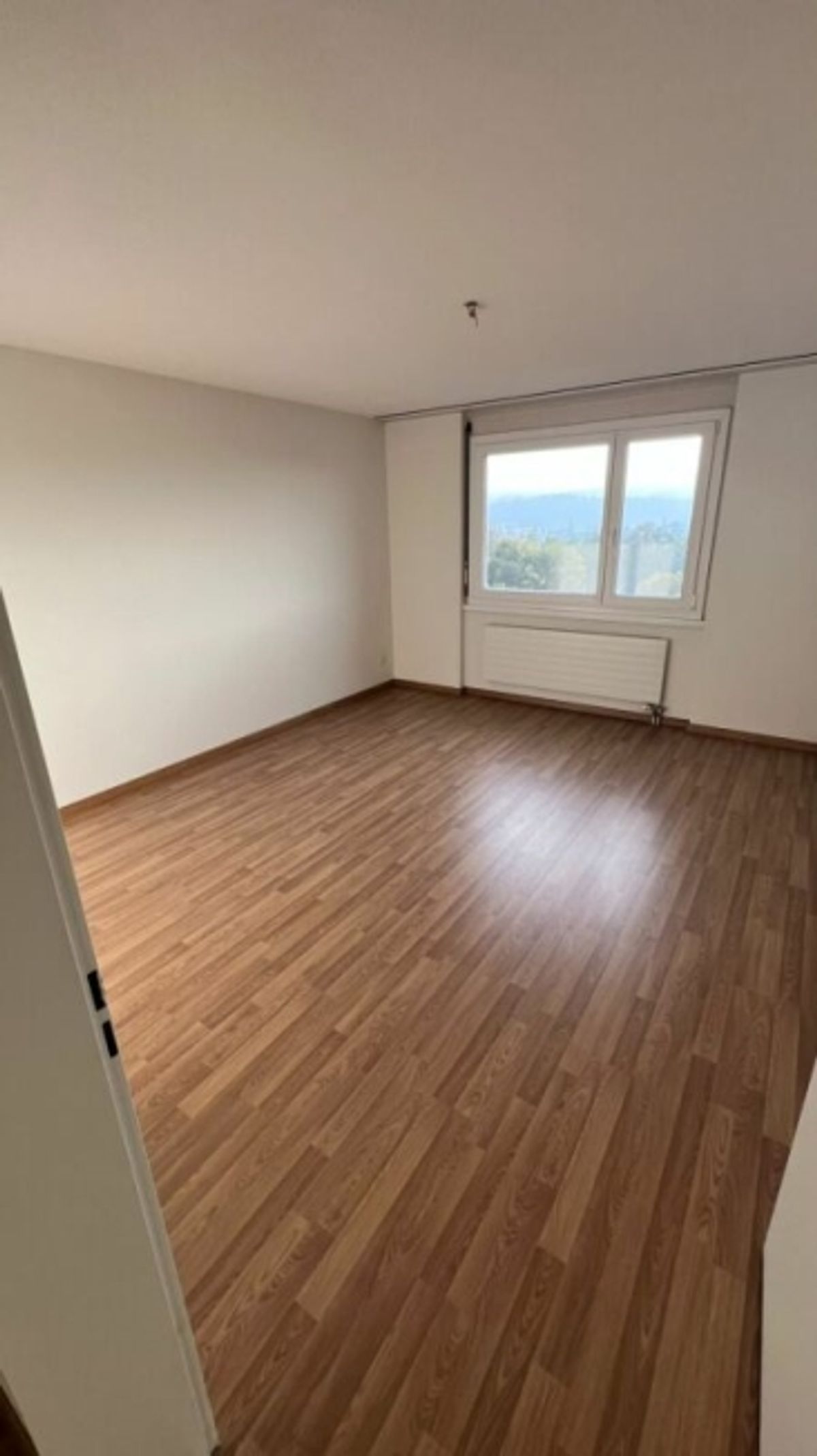schöne helle 2 1/2 Zimmer Wohnung - 1