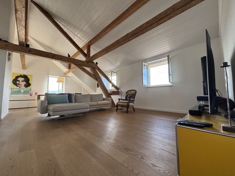 5 ZIMMER-DACHWOHNUNG IN FÜLLINSDORF (BL), MÖBLIERT, TEMPORÄR - 1