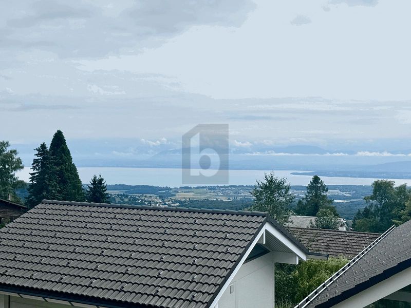 SPACIEUSE VILLA AU CALME ET VUE LAC - 3