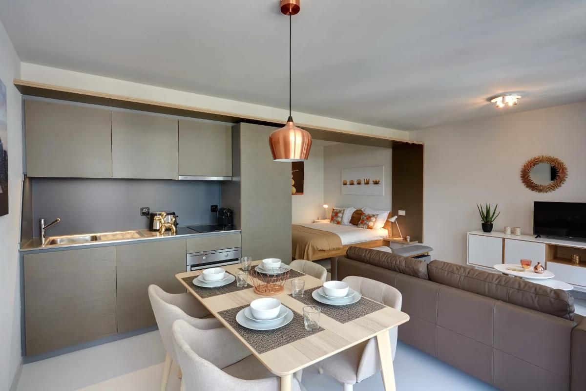 Furnished Studio 15min to Geneva - Nyon - 0