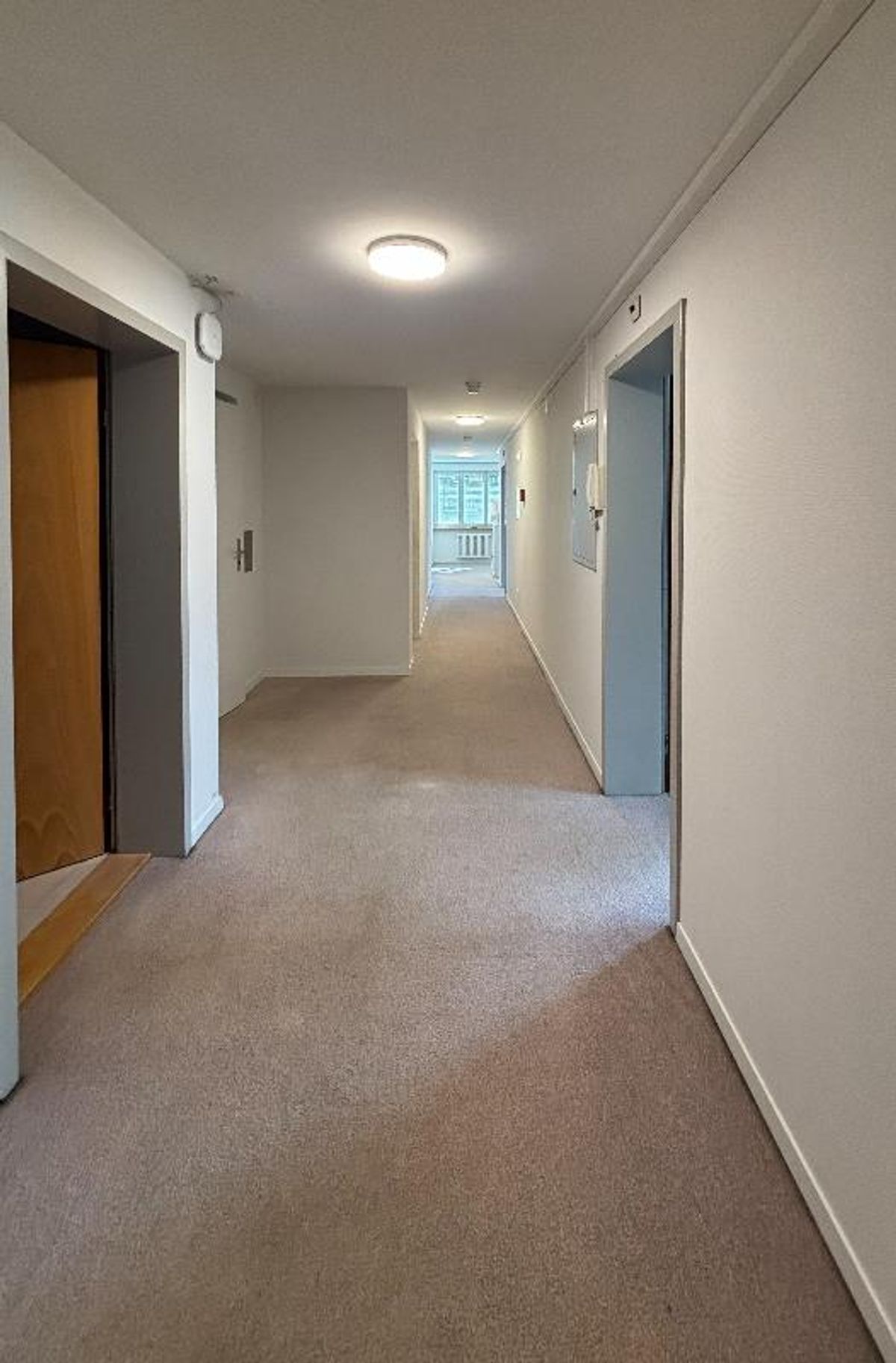 3 Zimmer Wohnung - 3