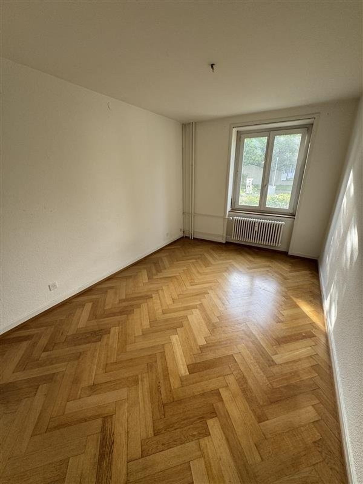 Hier endet Ihre Wohnungssuche- erste Nettomiete geschenkt! - 1