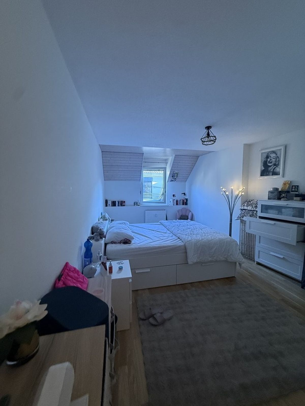A saisir ! Superbe appartement au centre ville de Nyon ! - 7