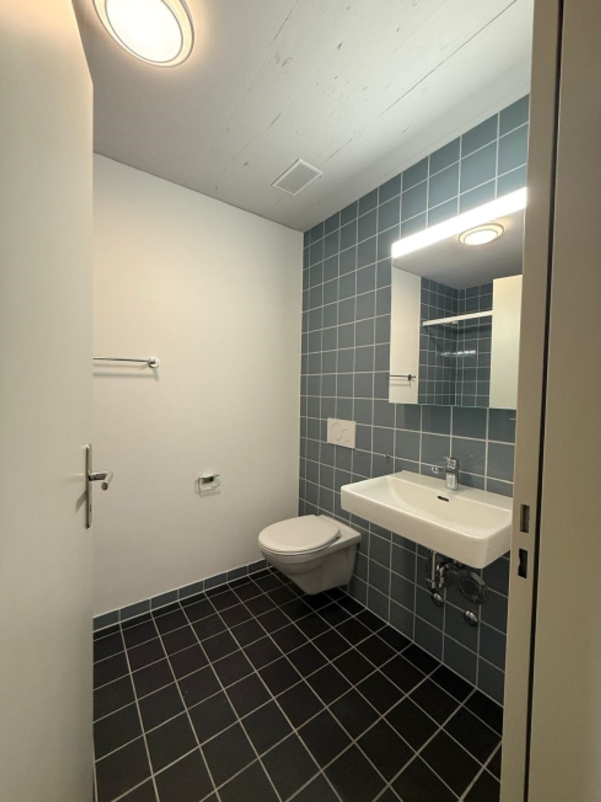 Modernes Wohnen in Horgen Oberdorf! - 1