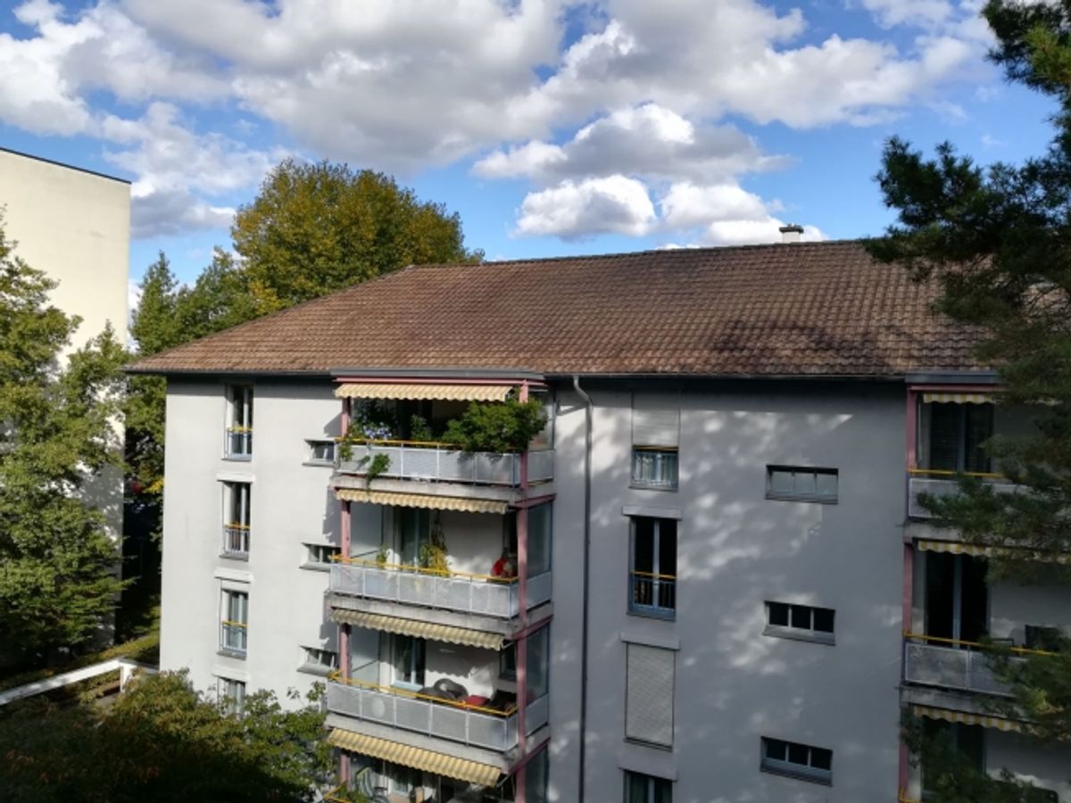 Atelier im Erdgeschoss zu vermieten - 0