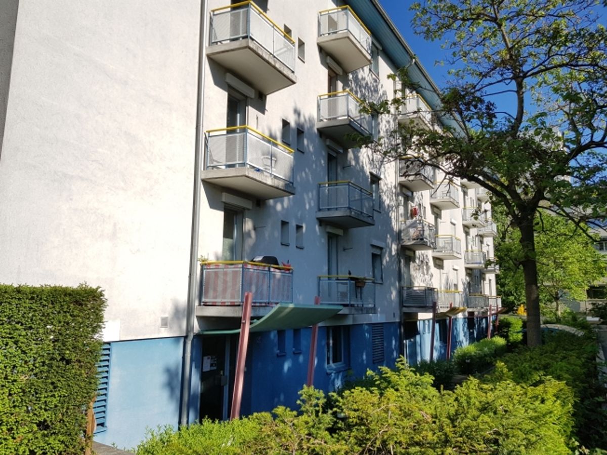 Atelier im Erdgeschoss zu vermieten - 1